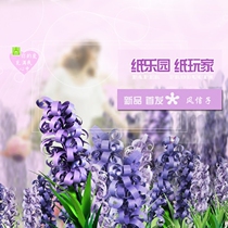 Paper player photo studio wedding wedding window decoration background prop flower large cardboard flower 0157#Fengxin grass