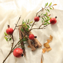 Find-spot emulation pomegranate fruit branches Fruit Home Soft Decorative Living Room Pendulum with flower arrangement emulation Flower Desktop Field Garden
