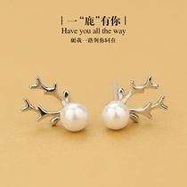 S925 Pure Silver Small Fresh Deer Head Ear Nail Antlers Pearl Earrings Earrings Sweet and cute ear Bone Nail Trinkets