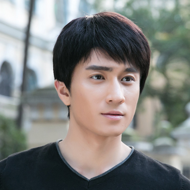 九洲名城真人发假发男男士短发男士假发逼真男假发可退换