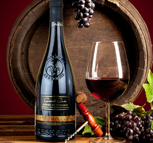 原装进口 法国阿尔岱雪 维瓦莱山坡干红葡萄酒