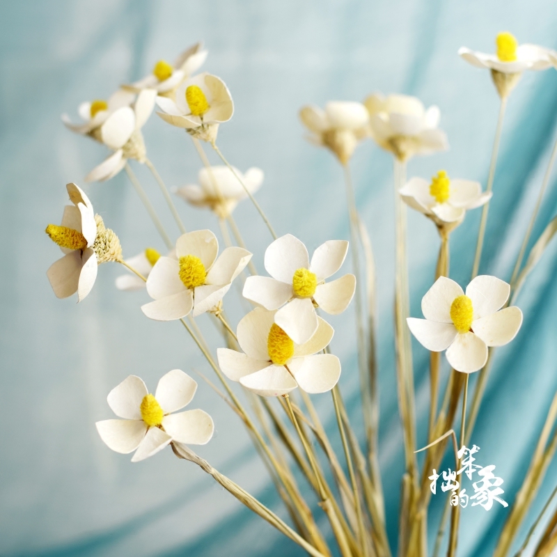 violets, butterflies, dried flowers, bouquets, real flowers, art living room decorations, shooting props, materials, handmade immortal flowers