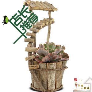 树枝花盆 纯天然自然 手工制作 环保 多肉植物绿