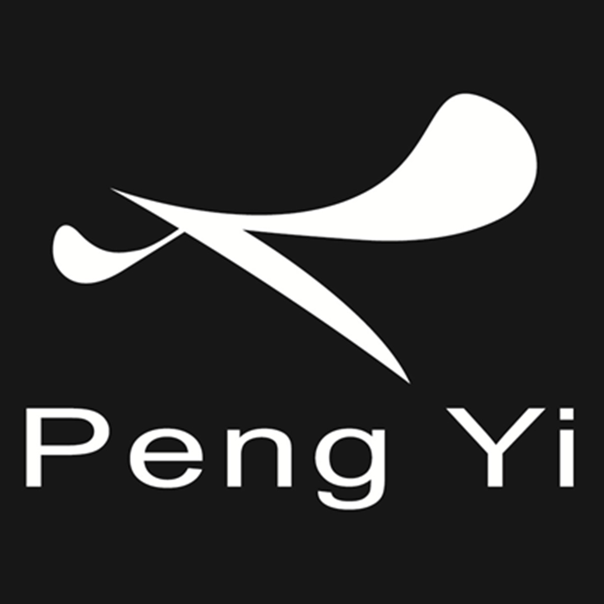 pengyi汽车用品旗舰店