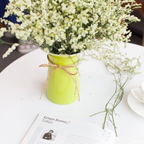 European open vase Ceramic ornaments Living room flower arrangement Green pink small fresh flowers dried flowers Hydroponic device