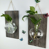 Creative hydroponic glass vase hanging transparent flowerpot green flower wall hanging small fish tank simple modern small vase