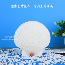 Natural white shell big fan shell barbecue dinner plate fish tank decoration home wall hand painting diy wedding pillow