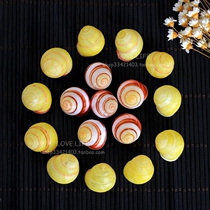 Natural yellow snail snail gold grid striped small conch mini fish tank micro-landscape wishing bottle decoration props