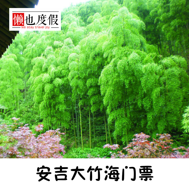【快速出票】杭州湖州安吉中国大竹海门票卧虎藏龙拍摄地_7折现价36元