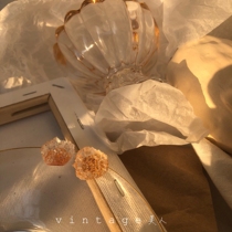 The firefly lights are like your eyes shining there. The romantic firefly earrings are earrings.