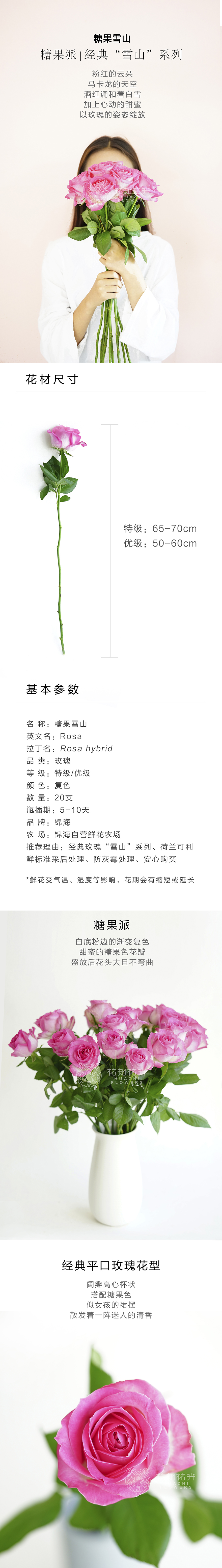 【免保参拍】包邮限量1束云南a级粉色玫瑰糖果雪山18支【量贩拍】