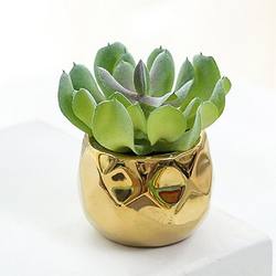 Recommended Great Simulation Succulent Mini Artificial Plant Decorat