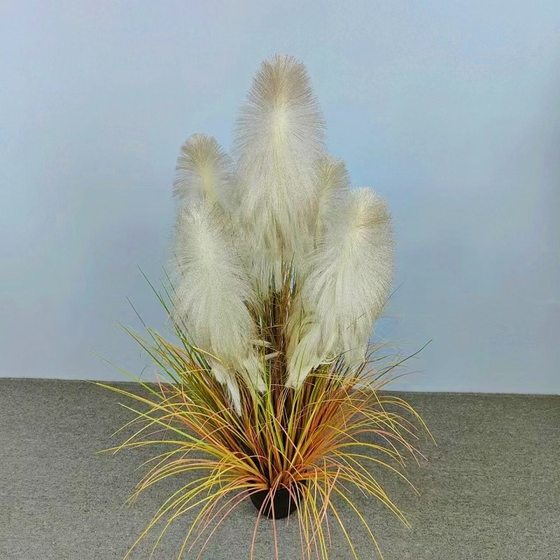 Simulation Internet celebrity natural reed fake flower green plant dog tail grass shopping mall store plant landscaping home potted plant decoration
Simulation Internet celebrity natural reed fake flower green plant dog tail grass shopping mall store plant landscaping home potted plant decoration