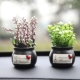 Thời trang đồ trang trí xe mô phỏng mini plant nhỏ chậu xe nguồn cung cấp xe sáng tạo nội thất trang sức ghế trang trí đồ trang trí xe oto Ô tô nội thất Accesseries