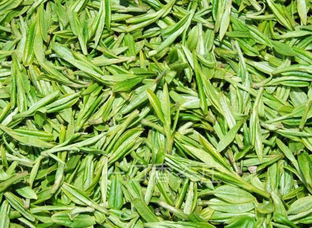 2019年新茶春茶龙井茶叶茶农直销雨前浓香型龙井绿茶包邮礼盒散装