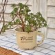 BAOZAKKA export old home gardening succulent retro flower pot Korean stoneware light porcelain flower pot BAOZAKKA export old home gardening succulent retro flower pot Korean stoneware light porcelain flower pot