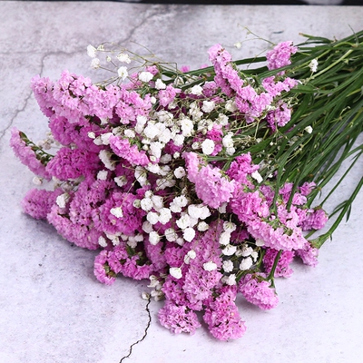 勿忘我干花花束家居摆设云南天然干花客厅装饰插花情人草水晶草--猪猪