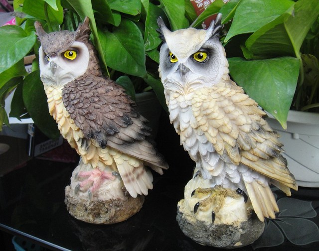 Simulation owl resin ornaments guarding succulents against bird artifacts home accessories garden potted landscaping Simulation owl resin ornaments guarding succulents against bird artifacts home accessories garden potted landscaping
