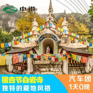 成都银杏节 大邑金星乡 白岩寺精品一日游 周末