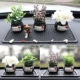 Thời trang đồ trang trí xe mô phỏng mini plant nhỏ chậu xe nguồn cung cấp xe sáng tạo nội thất trang sức ghế trang trí đồ trang trí xe oto Ô tô nội thất Accesseries