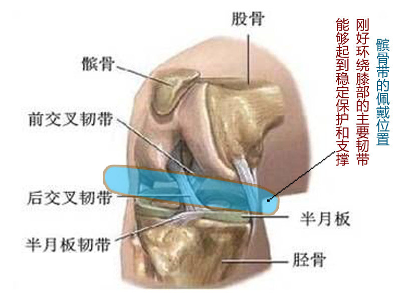 殊途保护加压型护膝髌骨带羽毛球l篮球网球排