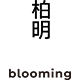 blooming旗舰店