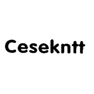 cesekntt旗舰店