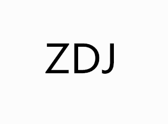 zdj旗舰店