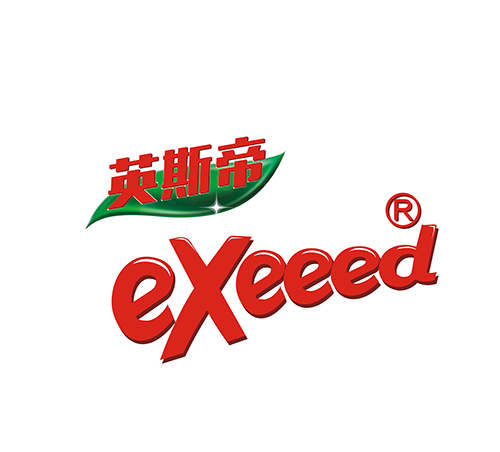 exeeed旗舰店