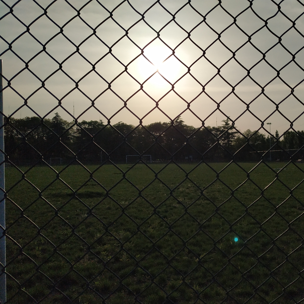 哈哈哈哈哈哈的雨