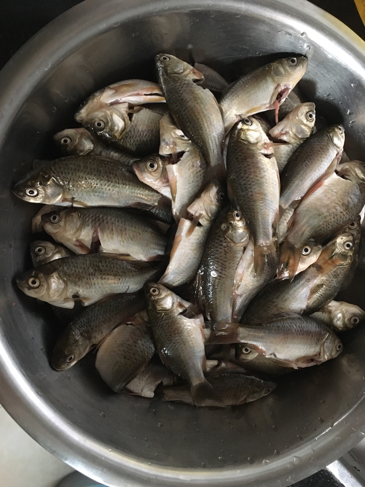 独孤九剑我不会