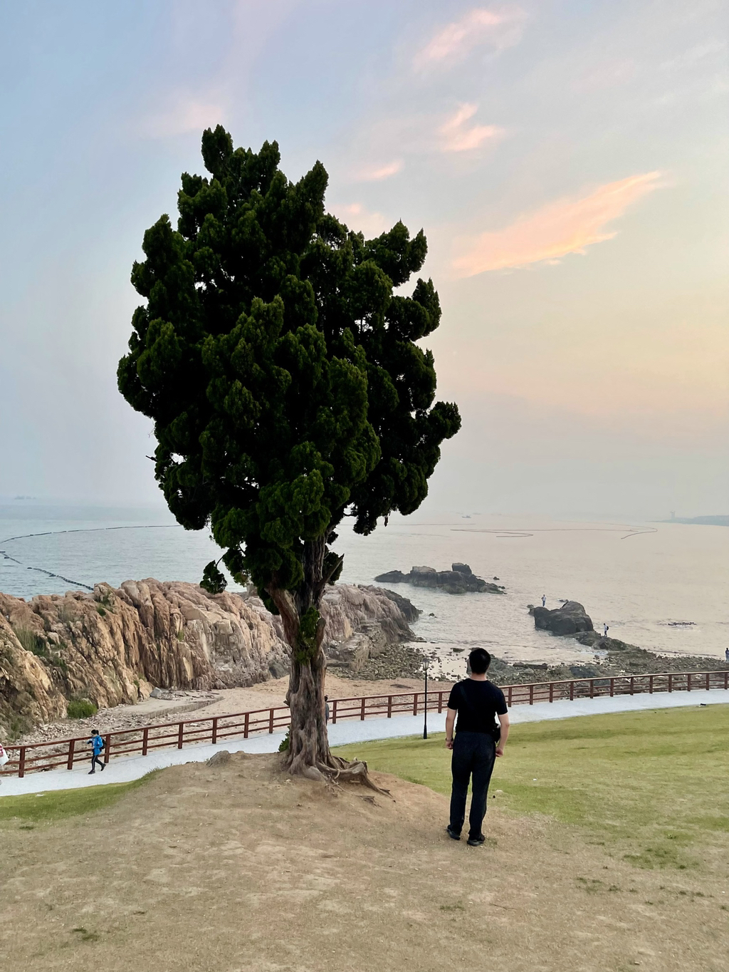 明月无情古来是