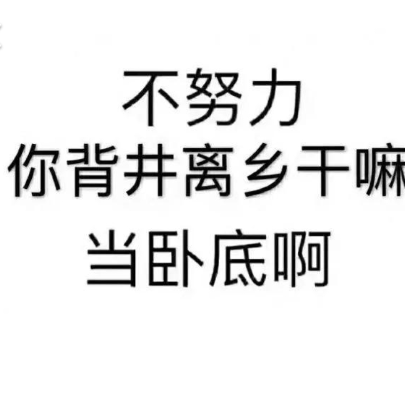 爱吃韭菜滋卷的小饼干力呀
