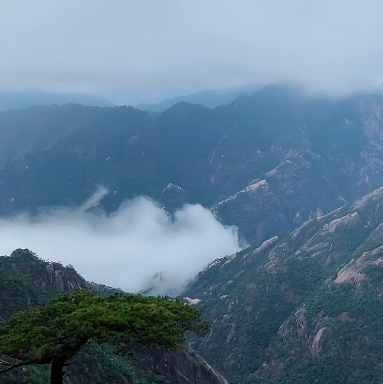 紫水晶色的上丰