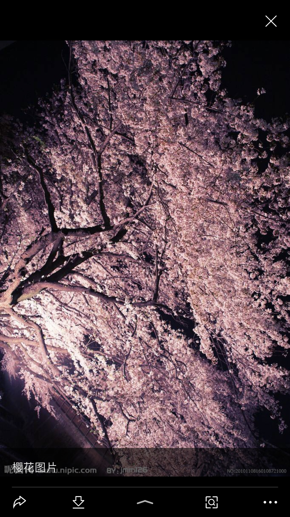 天蓝水清好风景