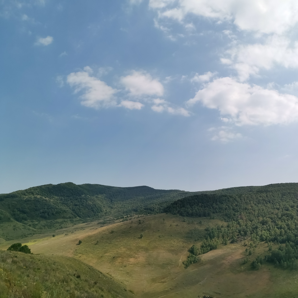 爱吃太极芋头的春天