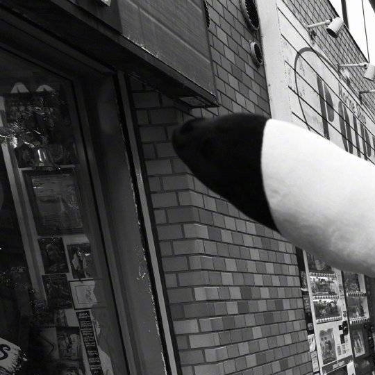 菠萝菠萝～好吃呀