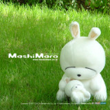 很积极小番茄zz