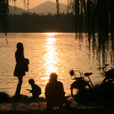 西北风上空的雀