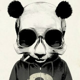 爱吃火锅的野熊