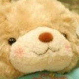 爱吃黄桃的杨桃