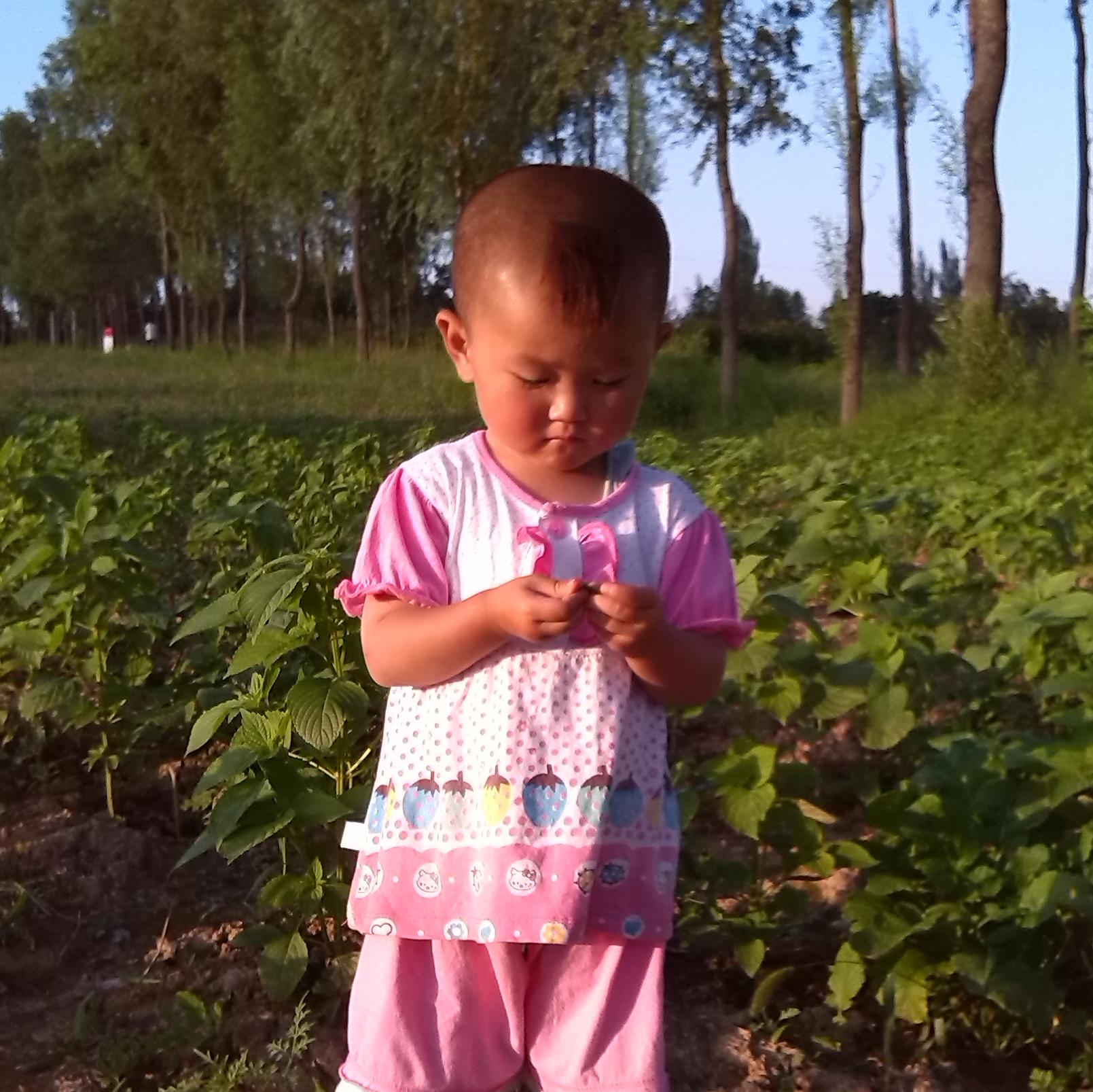 爱吃摩卡咖啡的竹蜻蜓