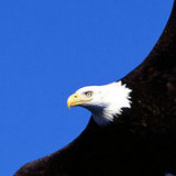 中国房价疯了！