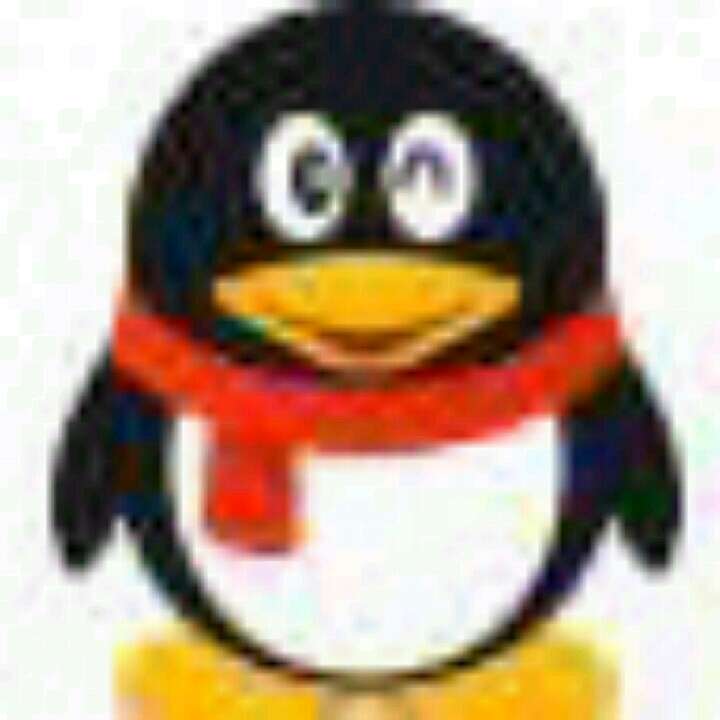 朱红的铃木冬青