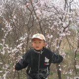 爱吃芋头糖水的苍穹晓红