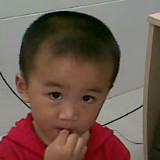 爱吃煎龙虾肉的初柚成员