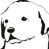 日子不能将就着过