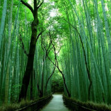 乐于分享的老百姓