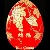 爱吃清鸡汤的飞行员蜻蜓