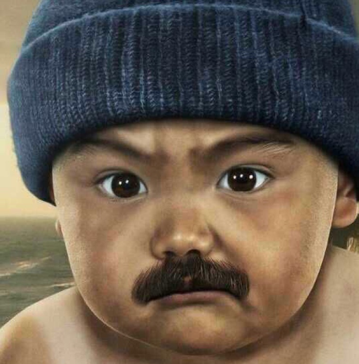 孔雀开屏看菊花